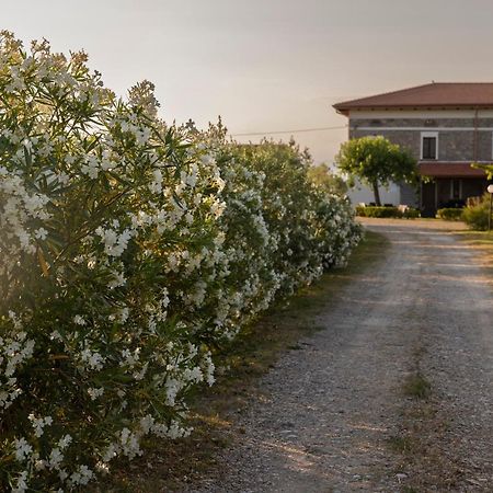 Agri Charme Tenuta Picilli Βίλα Albanella Εξωτερικό φωτογραφία