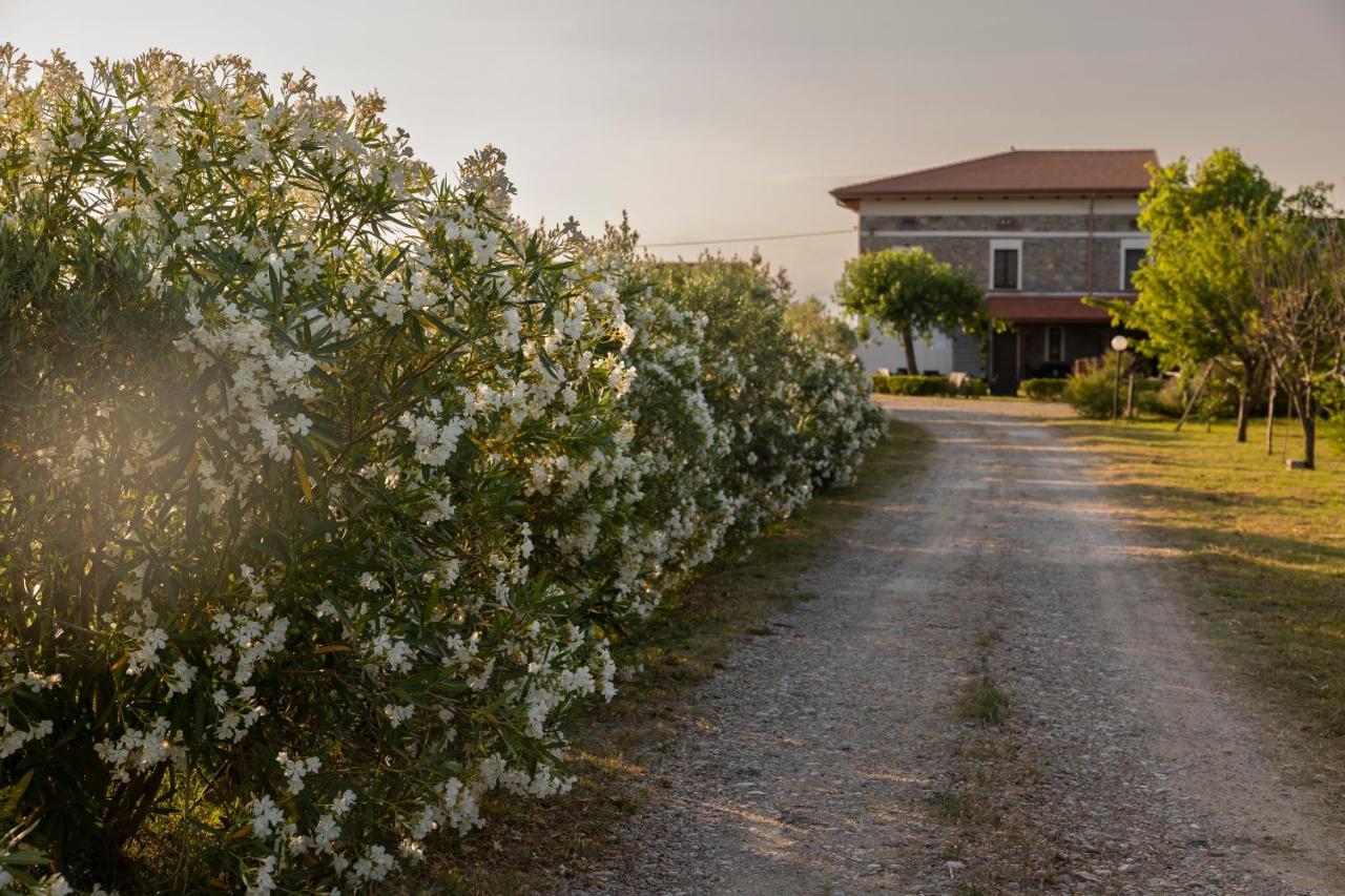 Agri Charme Tenuta Picilli Βίλα Albanella Εξωτερικό φωτογραφία